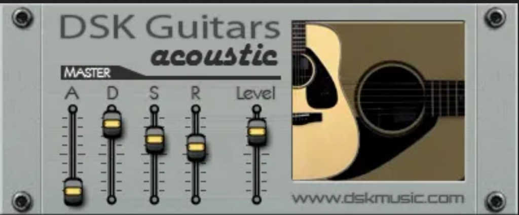 DSK Guitars Acoustic
