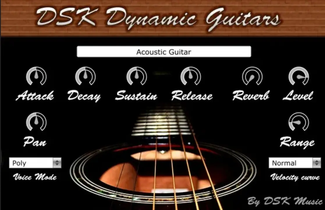 DSK Dynamic Guitars